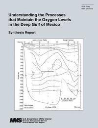 bokomslag Understanding the Processes that Maintain the Oxygen Levels in the Deep Gulf of Mexico: Synthesis Report