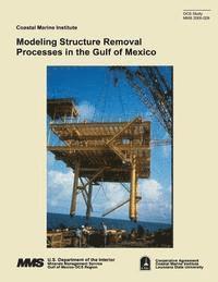 bokomslag Modeling Structure Removal Processes in the Gulf of Mexico
