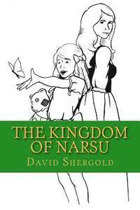 bokomslag The Kingdom of Narsu
