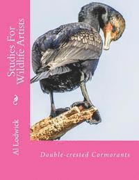 bokomslag Double-crested Cormorants: Studies For Wildlife Artists
