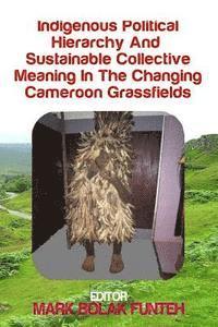 bokomslag Indigenous Political Hierarchy and Sustainable Collective Meaning in the Changin