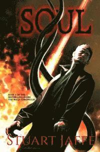 Stuart Jaffe - The Way of the Soul, Häftad