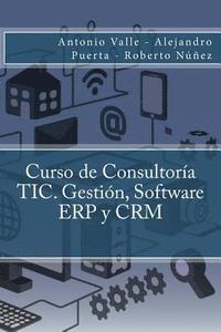 bokomslag Curso de Consultoría TIC. Gestión, Software ERP y CRM