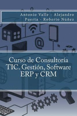 Curso de Consultoría TIC. Gestión, Software ERP y CRM 1