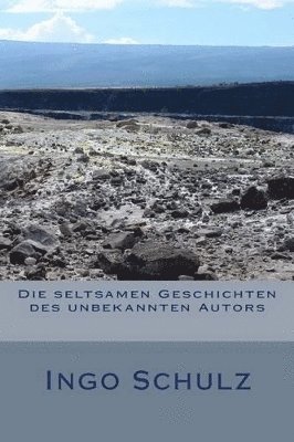 bokomslag seltsamen Geschichten des unbekannten Autors