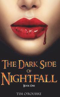 bokomslag The Dark Side of Nightfall