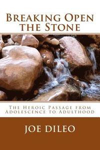 bokomslag Breaking Open the Stone: The Heroic Passage from Adolescence to Adulthood