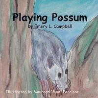 bokomslag Playing Possum