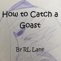 bokomslag How to Catch a Goast