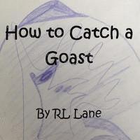 Rl Lane - How to Catch a Goast, Häftad