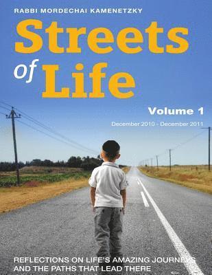 bokomslag Streets of Life Collection Vol. 1 2011: Reflections on Life's Amazing Journeys and the Paths that Lead There