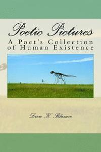 bokomslag Poetic Pictures: A Poet's Collection of Human Existence