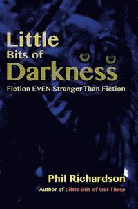 bokomslag Little Bits of Darkness: Fiction Stranger Than Fiction