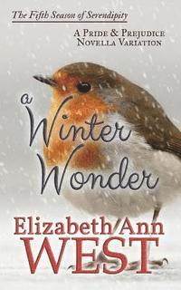 bokomslag A Winter Wonder: A Pride and Prejudice Novella Variation