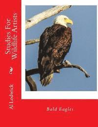 bokomslag Bald Eagles: Studies For Wildlife Artists