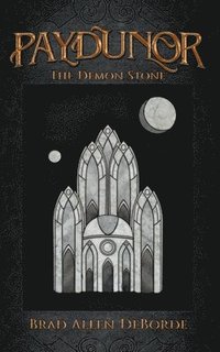 bokomslag Paydunor: The Demon Stone