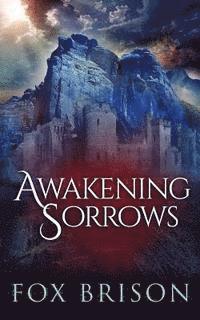 bokomslag Awakening Sorrows