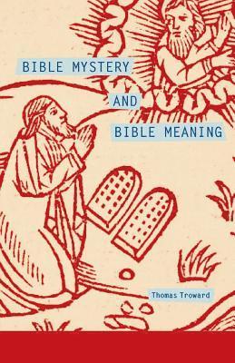 bokomslag Bible Mystery and Bible Meaning