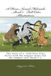 bokomslag A Horse Named Melenudo - Book 1- Full Color Illustrations