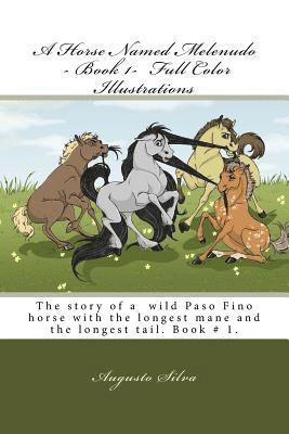 A Horse Named Melenudo - Book 1- Full Color Illustrations 1