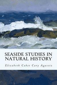 bokomslag Seaside Studies in Natural History