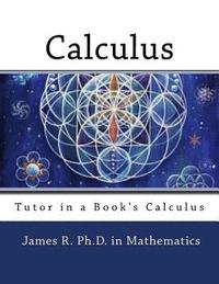bokomslag Tutor in a Book's Calculus