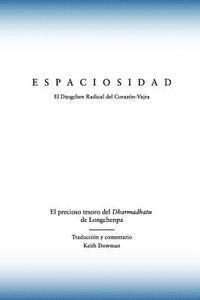 bokomslag Espaciosidad: El precioso tesoro del Dharmadhatu de Longchenpa