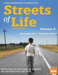 bokomslag Streets of Life Collection Volume 2: Volume Two December 2011 - December 2012