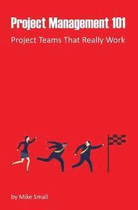 bokomslag Project Management 101: Project Teams That Really Work