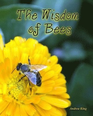 The Wisdom of Bees 1