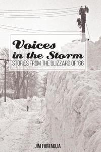 bokomslag Voices in the Storm: Stories From The Blizzard of '66