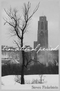 bokomslag Transitional Period