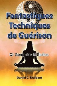 bokomslag Le Qi Gong des 5 Étoiles: Fantastiques Techniques de Guérison