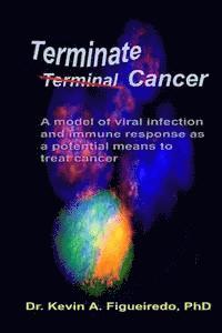 bokomslag Terminate Cancer: A model of viral infection and immune response as a potential means to treat cancer