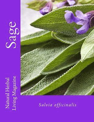 Sage - Salvia spp. 1