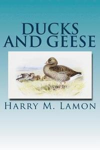 bokomslag Ducks and Geese