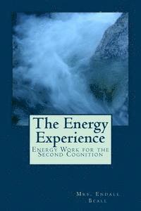 bokomslag The Energy Experience: Energy Work for the Second Cognition