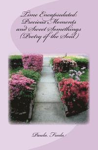 bokomslag Time Encapsulated: Precious Moments and Sweet Somethings (Poetry of the Soul): (Large Print Edition)