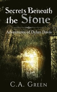 bokomslag Secrets Beneath the Stone