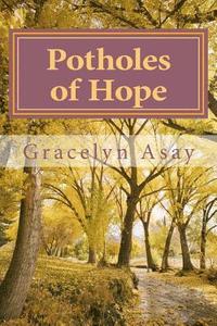 bokomslag Potholes of Hope