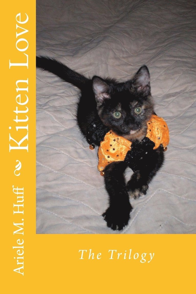 Kitten Love 1