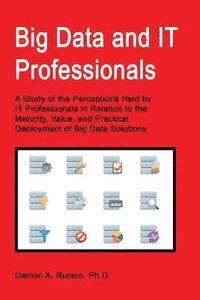 bokomslag Big Data and IT Professionals: A Study of the Perceptions Held by IT Professionals in Relation to the Maturity, Value, and Practical Deployment of Bi