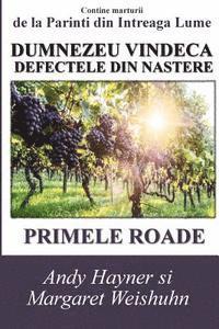 bokomslag Dumnezeu Vindeca Defectele Din Nastere: Primele Roade