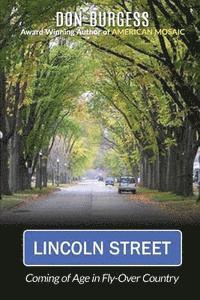 bokomslag Lincoln Street: Coming of Age in Fly-Over Country
