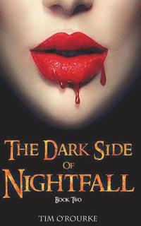 bokomslag The Dark Side of Nightfall (Book Two)