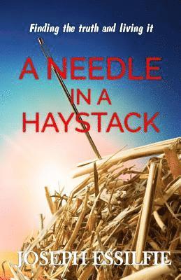 A Needle in a Haystack: Finding Faith and Living It 1