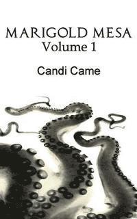 Marigold Mesa: Volume 1 1