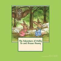 bokomslag The Adventure of Melby Jo and Bruno Bunny