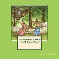 Mary Elizabeth Bennett - The Adventure of Melby Jo and Bruno Bunny, Häftad