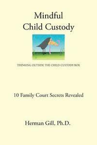 bokomslag Mindful Child Custody: Thinking Outside the Child Custody Box 10 Family Court Secrets Revealed